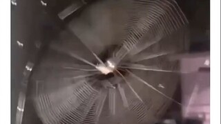 In case you've never seen a spider spinning a web