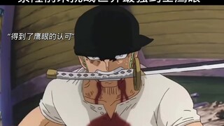 索隆前来挑战世界最强招士鹰眼