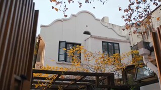 Why Is He Still Single eps 2 sub indo