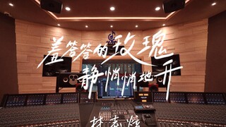 在百万豪装录音棚大声听林志炫《羞答答的玫瑰静悄悄地开》【Hi-res】