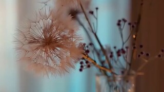 I Own You, Body and Soul (DB)