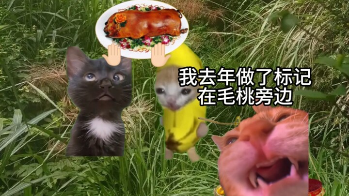 华南f3清明节保留节目：找太公