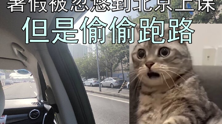 不要低估高中生拒绝暑假上课的决心！【猫meme】