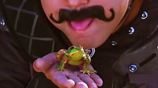 为了问路，男人竟亲吻了青蛙的屁屁