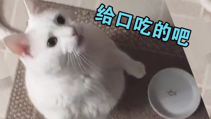 بمجرد أن تفتح فمك تعرف أنه خبير في التفاعل الاجتماعي.