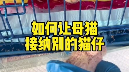 This scene today had this old guy in tears—especially that shot at 1:30!