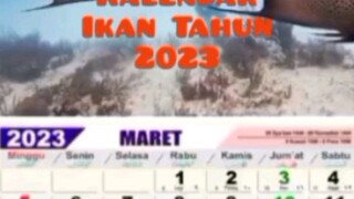 Kalender Video Ikan Tahun 2023 Tanpa Sensor