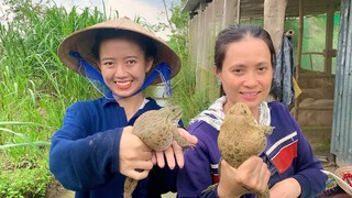 Ếch Đồng Nấu Lẩu Mẻ Ngày Mưa | NĐMT#170