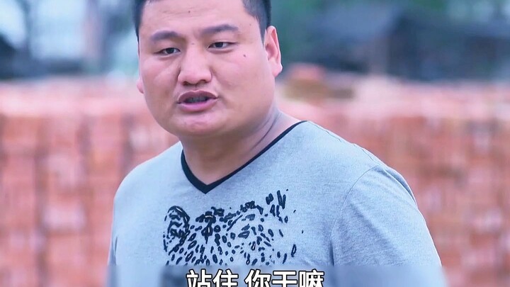Cảnh sát giả làm kẻ ngốc để thâm nhập vào lò gạch đen; sau khi bị lộ thân phận, trùm xã hội đen ra l