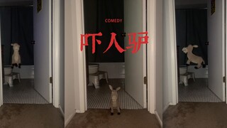 这个驴真的可以吓哭我，然后又笑鼠