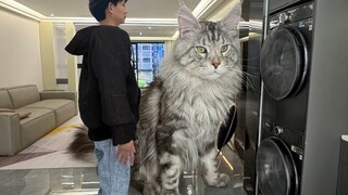 家里养了几只奇葩