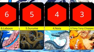 Top 15 Strongest Animals In One Piece (Ranked)