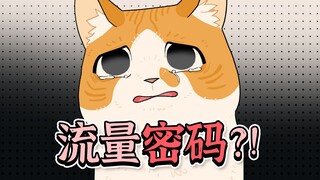Do kittens have to have round, black eyes to be cute?