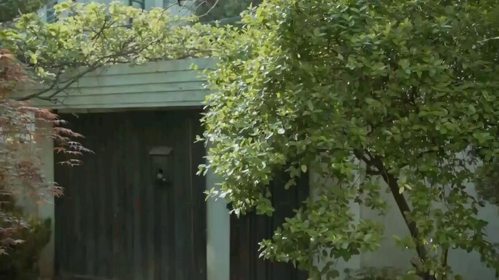 Estranjero S1 Epi12 (🤫forest)