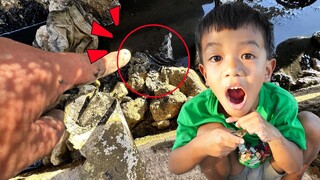 ปลาซ่อนอยู่ในดิน ลูกปลาช่อน | พี่ปลื้ม