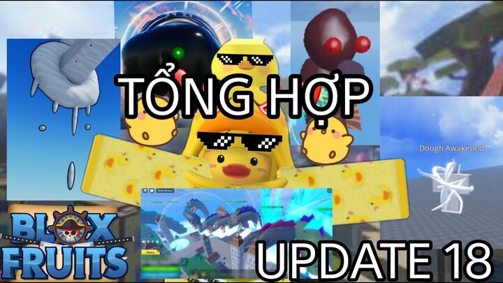 Tổng Hợp Tất cả về Update 18 Blox Fruit P1