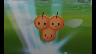 Pokémon GO-Shiny Combee