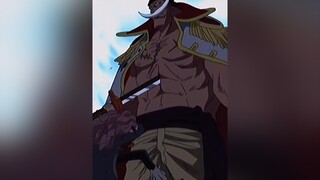 Dù thế nào... con vẫn mãi là con của bố ! rautrang bogia anime onepiece xuhuong trending fan_anime_2005