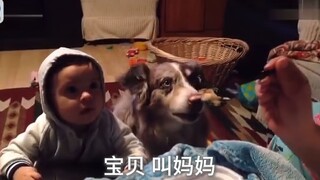 ลูกสุนัขเป็นเพียงผู้เลียนแบบที่ชาญฉลาด!