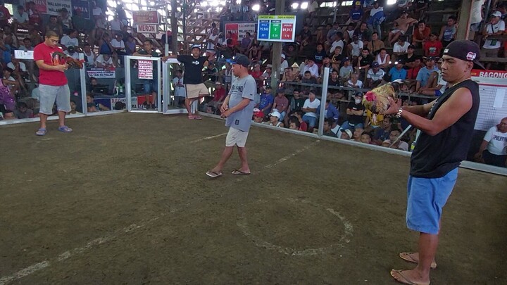 Super Bulik basta bulik matic babalik