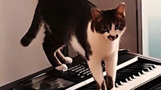 Hei, apakah kamu mendengar suara apa pun?