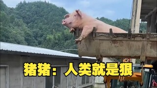 หมู หมู : มนุษย์โหดร้าย