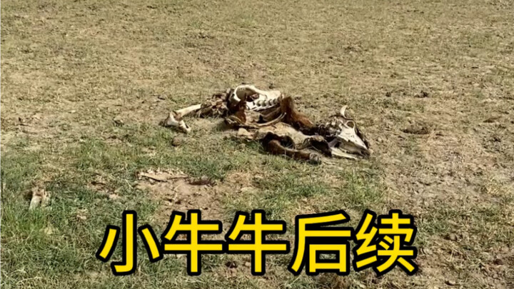 It’s so hot! As soon as I finished setting up the car, I jumped into the river to cool off.