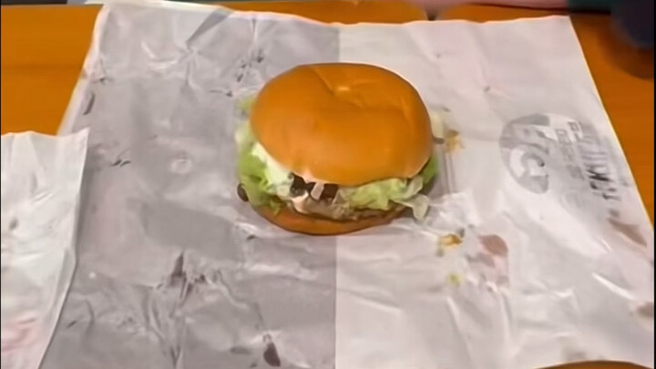 Burger: Will you eat the fried pancake or not?!?!?