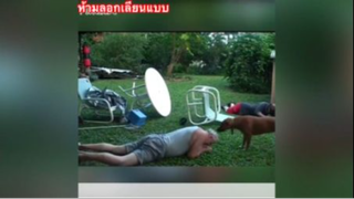 มีแต่เรื่องตลก