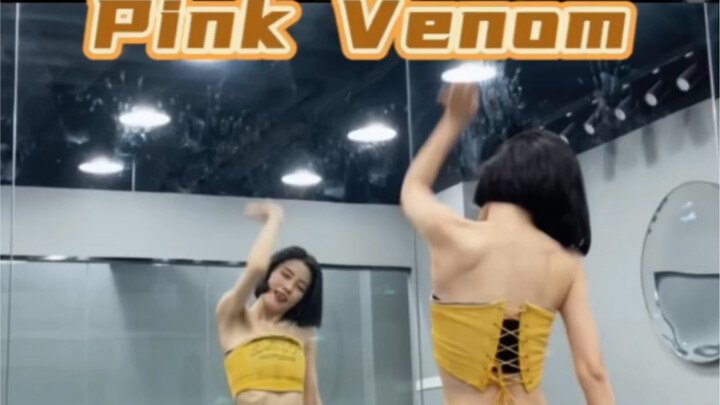 【蒋雨奚】Blackpink- Pink Venom副歌0.7慢速喊拍子分解！好看死了！！