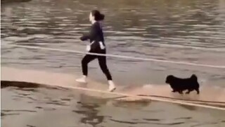 Dog: My life has been smooth sailing!