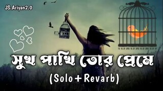 সুখ পাখি তোর প্রেমে মন মজাইয়া আমি - Shukh pakhi tor preme-  ফিরে দেখা! - F A SU