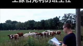 芙蓉王源在伯克利的班主任