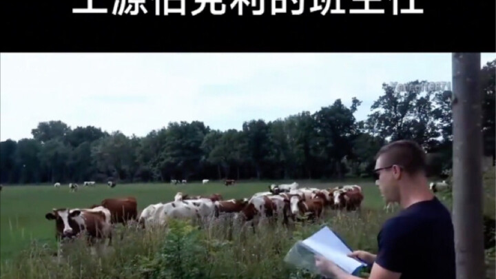 芙蓉王源在伯克利的班主任