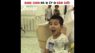 Đang Chán Mà Phải Đi Đám Cưới