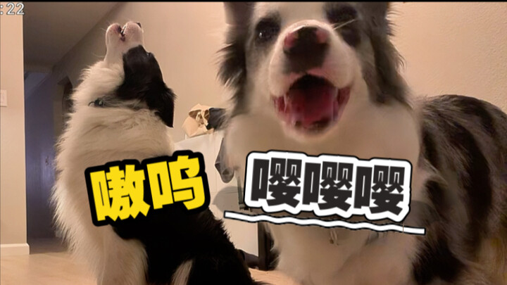Trời ơi.. Bản song tấu về nỗi lo xa của đôi bạn thanh mai trúc mã