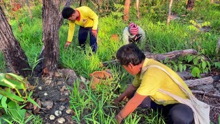 “เก็บเห็ดเผาะ” 3คนพ่อแม่ลูก ดินแห้งๆไข่ใหญ่ๆ เก็บม่วนๆ