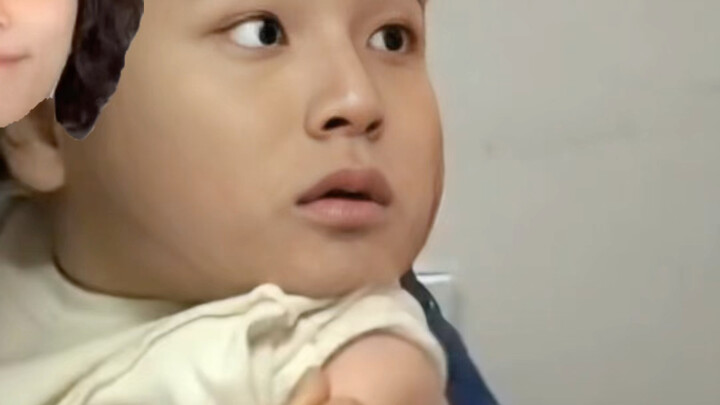 Chó con tiêm phòng