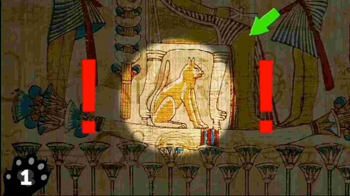 ข้อเท็จจริงเกี่ยวกับแมว