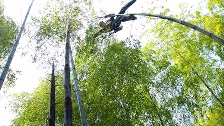 60-year-old folk master flying across bamboos