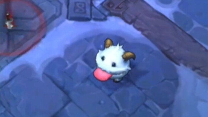 The Life of Po Luo: Let’s See How Po Luo Grew Up!!