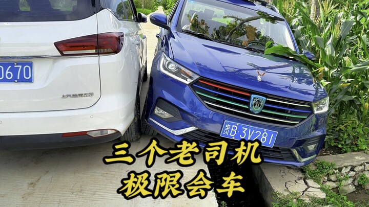 高手在民间单边桥极限会车