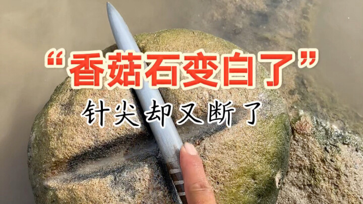 Những vết đen xung quanh viên đá nấm hương đã bị nước sạch làm loãng và chuyển sang màu trắng, chỉ c