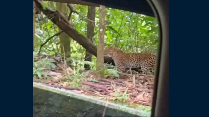 #news #berita #fyp #viral #seputarberita #indonesia