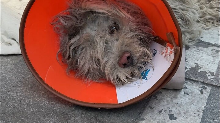 Can this really be saved?