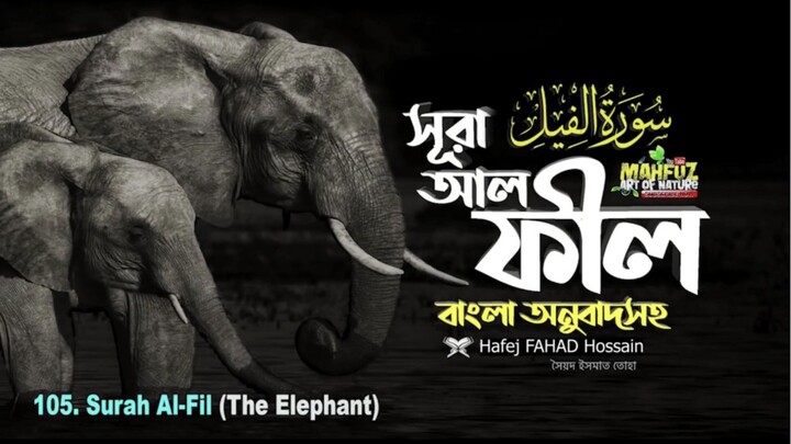 (105) সূরা আল-ফীল (বাংলা অনুবাদসহ)