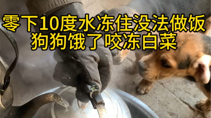 The temperature here has plummeted—every drop of water in the little courtyard has frozen solid, and