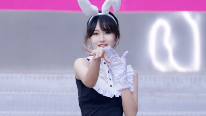 【JOKER-Dalshabet】ดีลเลอร์กระต่ายออนไลน์แจกไพ่