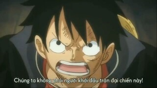 Trận chiến bắt đầu #anime #onepiece