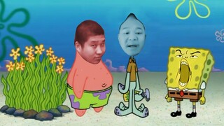 ⚡海 藻 宝 宝⚡